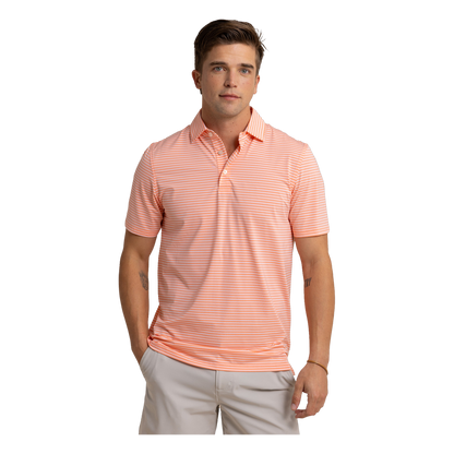 10621.Desert Coral:Large.TCP