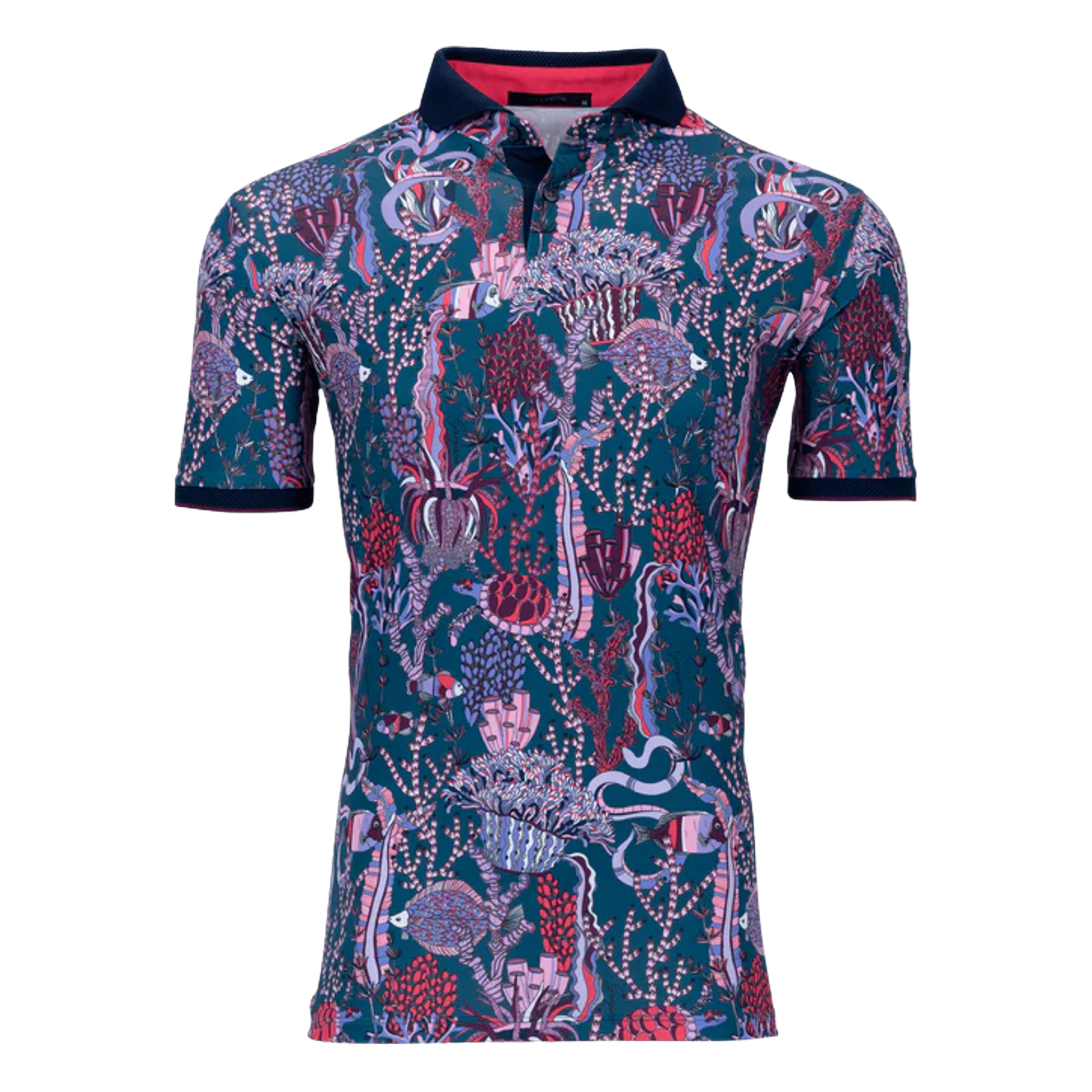MSP24K16.Sea Turtle:XL.TCP